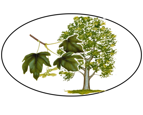 B&B a Foligno Le Bianchelle